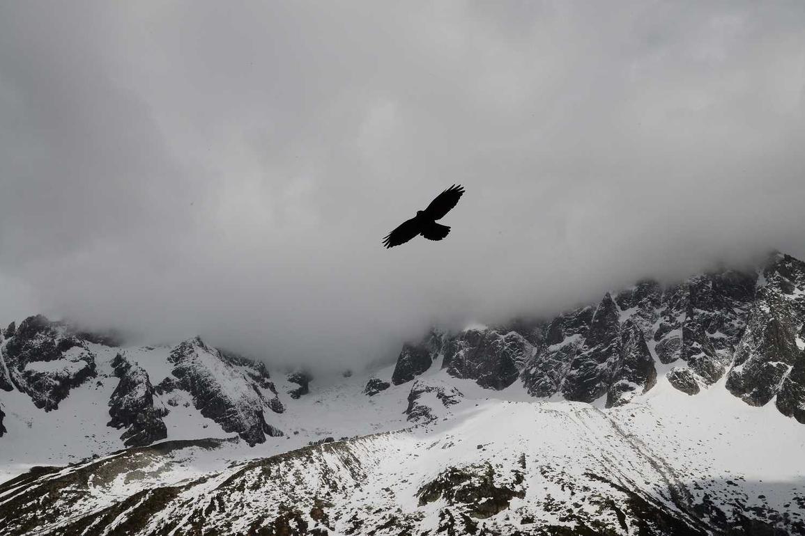 Consectetur voluptatem doloribus animi ut nesciunt dolores